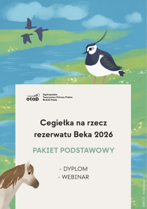 Cegiełka Beka 2026 – Pakiet Podstawowy