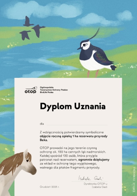 Cegiełka Beka 2026 – Pakiet Premium