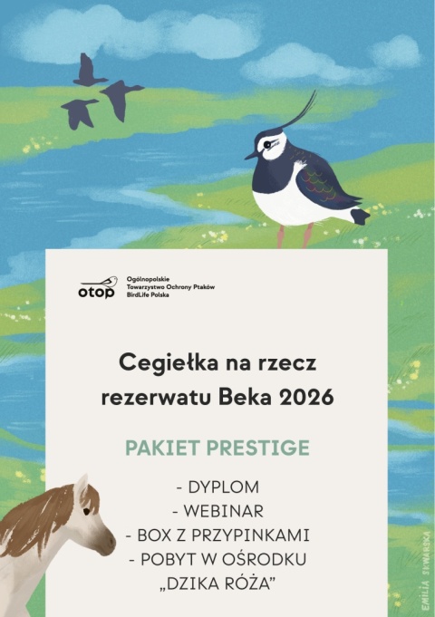 Cegiełka Beka 2026 – Pakiet Prestige