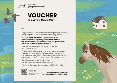 Cegiełka Beka 2026 – Pakiet Prestige