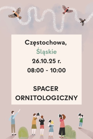 Częstochowa, brzeg Warty 26.10.25 r., 8:00 - 10:00, SPACER ORNITOLOGICZNY
