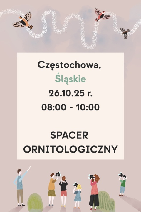 Częstochowa, brzeg Warty 26.10.25 r., 8:00 - 10:00, SPACER ORNITOLOGICZNY