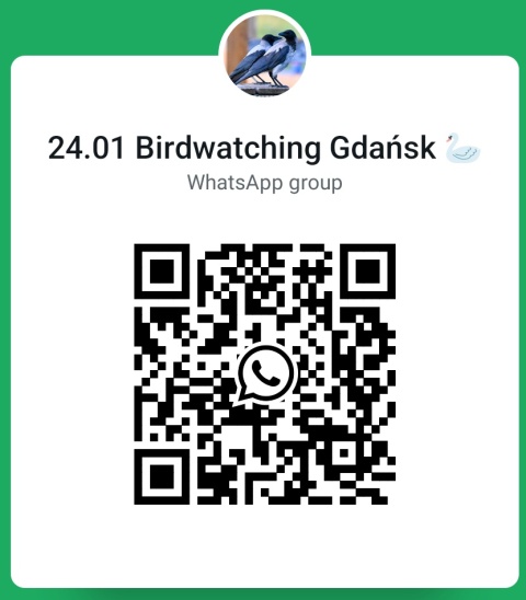 Gdańsk, Oliwa 24.01.26 r., 10:00 - 13:00, SPACER ORNITOLOGICZNY