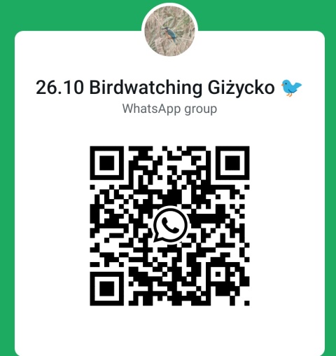 Giżycko, jezioro Niegocin 26.10.25 r., 8:00 - 10:00, SPACER ORNITOLOGICZNY