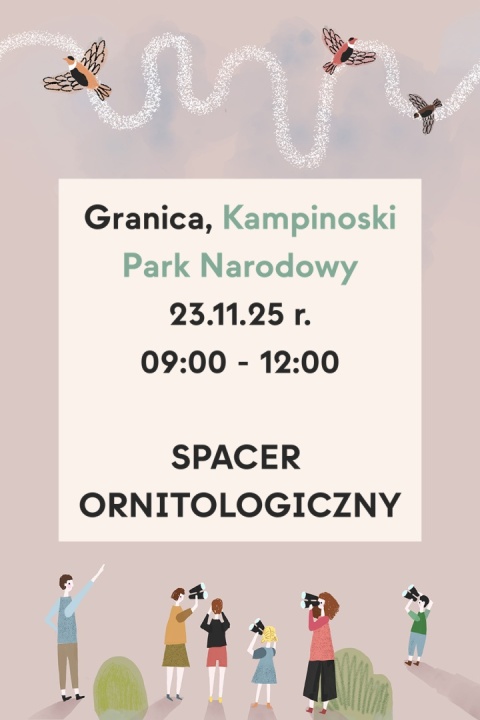 Granica, Kampinoski Park Narodowy 23.11.25 r., 9:00 - 12:00, SPACER ORNITOLOGICZNY