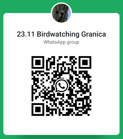 Granica, Kampinoski Park Narodowy 23.11.25 r., 9:00 - 12:00, SPACER ORNITOLOGICZNY