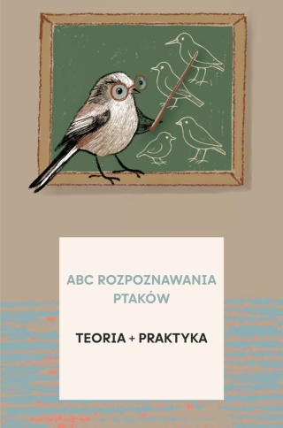 Kurs ABC Rozpoznawania Ptaków - II poziom (teoria + praktyka)