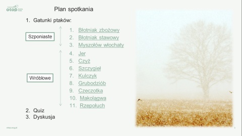 Kurs ABC Rozpoznawania Ptaków - II poziom (teoria + praktyka)