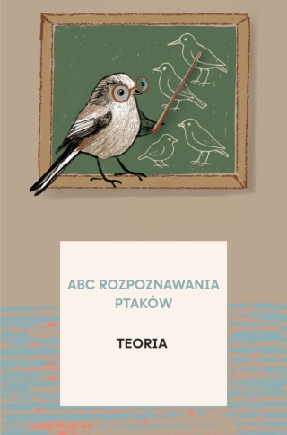 Kurs ABC Rozpoznawania Ptaków - II poziom (teoria)