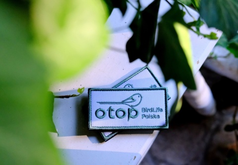 Naszywka na rzep - OTOP BirdLife Polska