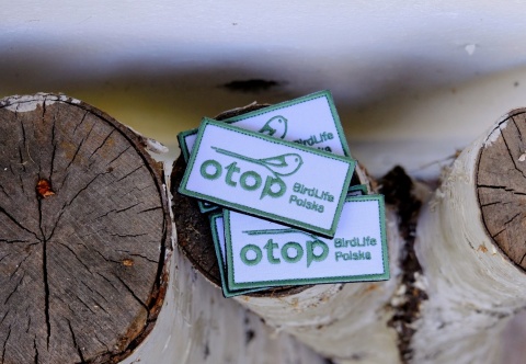 Naszywka na rzep - OTOP BirdLife Polska