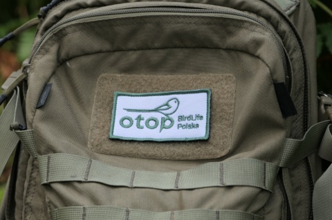 Naszywka na rzep - OTOP BirdLife Polska