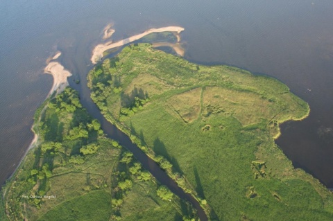 Cegiełka Beka 2026 – Pakiet Podstawowy