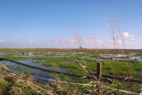 Cegiełka Beka 2026 – Pakiet Rozszerzony
