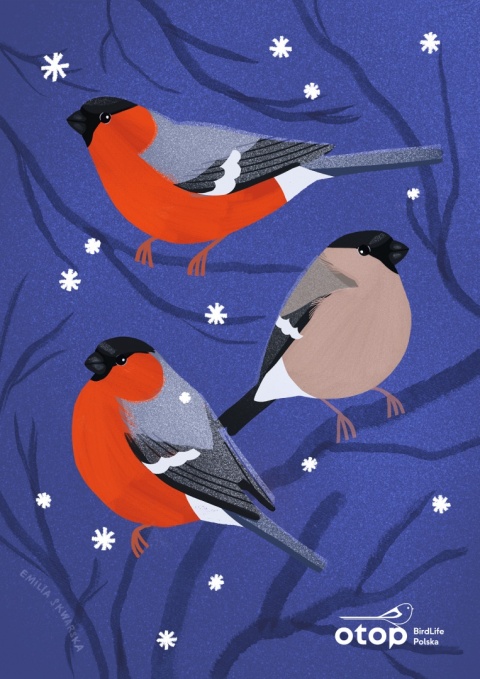 Pocztówka świąteczna - GILE