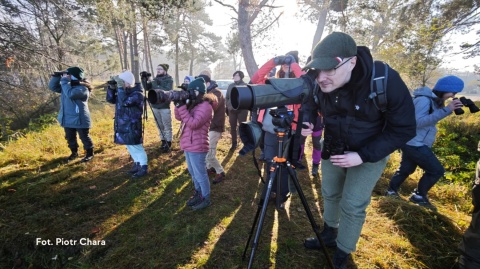 Polana Opaleń, Kampinoski Park Narodowy 27.12.25 r., 08:00 - 11:00, SPACER ORNITOLOGICZNY