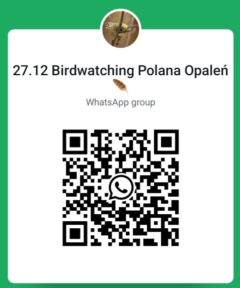 Polana Opaleń, Kampinoski Park Narodowy 27.12.25 r., 08:00 - 11:00, SPACER ORNITOLOGICZNY