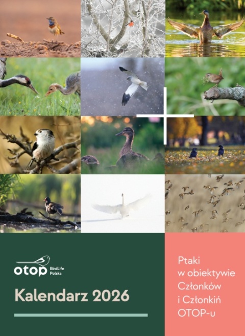 Kalendarz 2026 - Ptaki w obiektywie Członków i Członkiń OTOP-u
