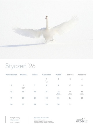 Kalendarz 2026 - Ptaki w obiektywie Członków i Członkiń OTOP-u