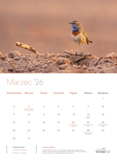 Kalendarz 2026 - Ptaki w obiektywie Członków i Członkiń OTOP-u