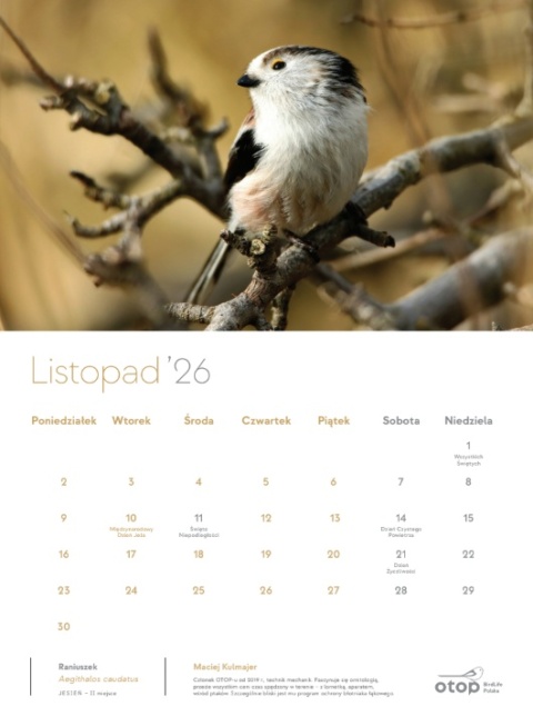Kalendarz 2026 - Ptaki w obiektywie Członków i Członkiń OTOP-u
