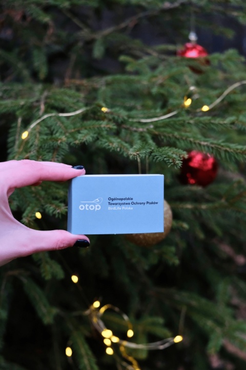 Świąteczne skarpetki OTOP - RudzikI, rozmiar 39-42