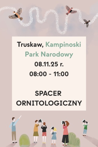 Truskaw, Kampinoski Park Narodowy 08.11.25 r., 8:00 - 11:00, SPACER ORNITOLOGICZNY