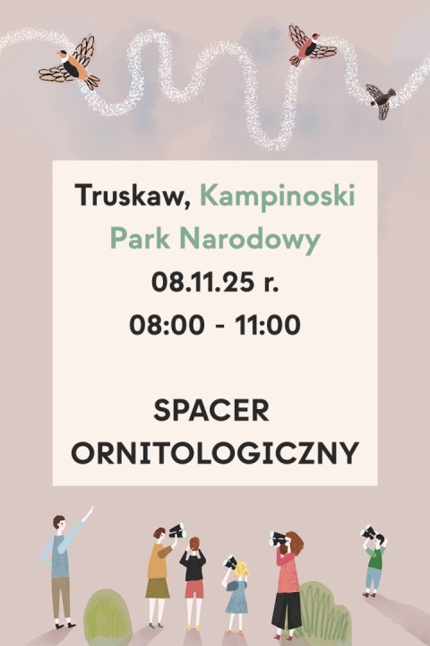 Truskaw, Kampinoski Park Narodowy 08.11.25 r., 8:00 - 11:00, SPACER ORNITOLOGICZNY