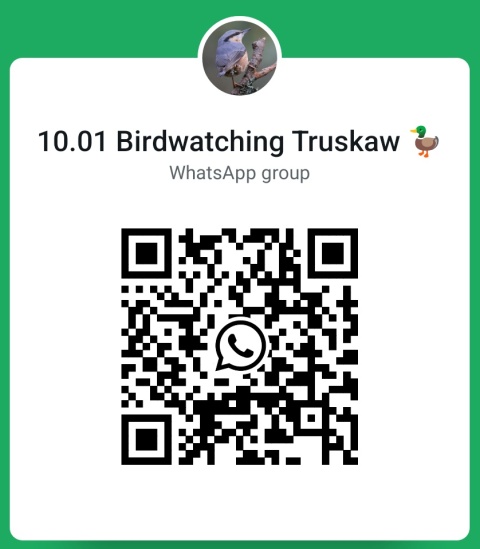 Truskaw, zbiornik Mokre Łąki 10.01.26 r., 09:00 - 12:00, SPACER ORNITOLOGICZNY