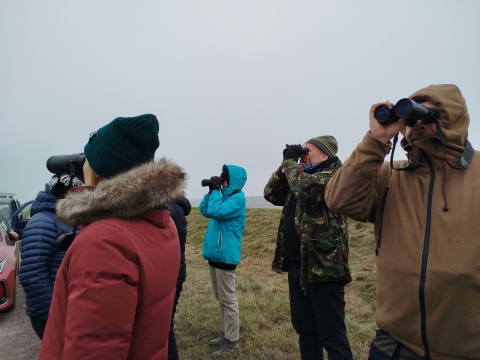Voucher prezentowy na udział w grupowym spacerze ornitologicznym OTOP-u
