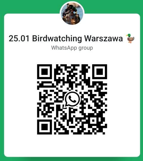 Warszawa, Czerniaków 25.01.26 r., 10:00 - 12:00, SPACER ORNITOLOGICZNY