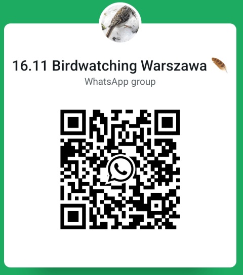 Warszawa, Powsin 16.11.25 r., 8:30 - 10:30, SPACER ORNITOLOGICZNY