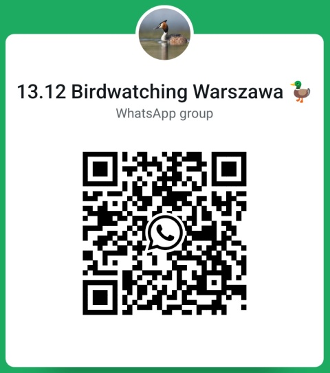 Warszawa, Wawer 13.12.25 r., 9:00 - 11:00, SPACER ORNITOLOGICZNY