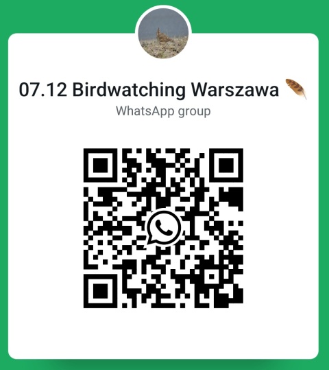 Warszawa, Wilanów 07.12.25 r., 9:30 - 11:30, SPACER ORNITOLOGICZNY