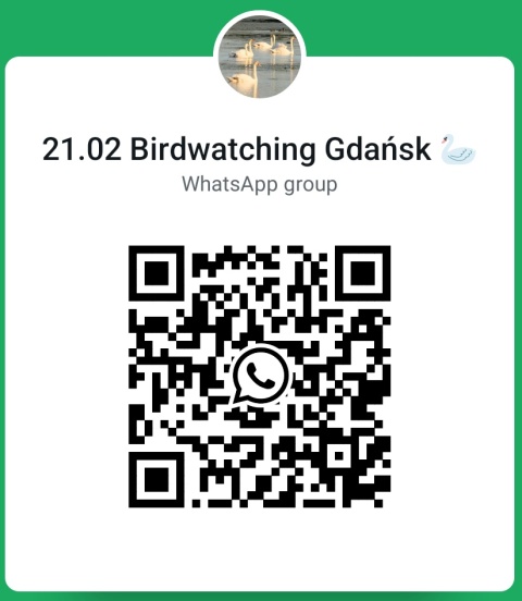 Gdańsk, Oliwa 21.02.26 r., 10:00 - 13:00, SPACER ORNITOLOGICZNY