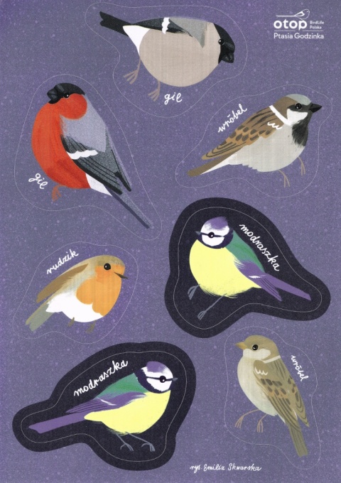 Zestaw naklejek - Ptasia Godzinka