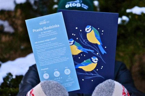 Notes z modraszkami + wkładka do Ptasiej Godzinki