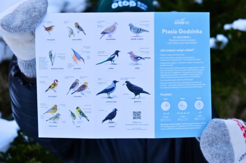 Notes z modraszkami + wkładka do Ptasiej Godzinki