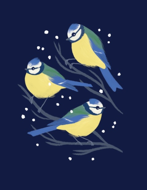 Notes z modraszkami + wkładka do Ptasiej Godzinki