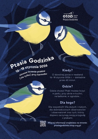 Plakat A3 - Ptasia Godzinka