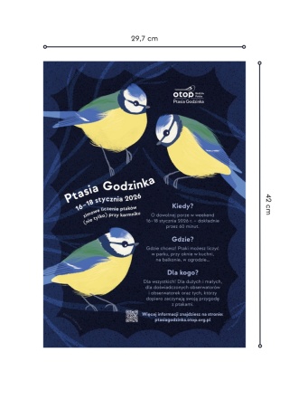 Plakat A3 - Ptasia Godzinka