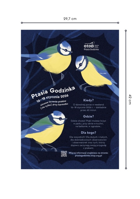Plakat A3 - Ptasia Godzinka
