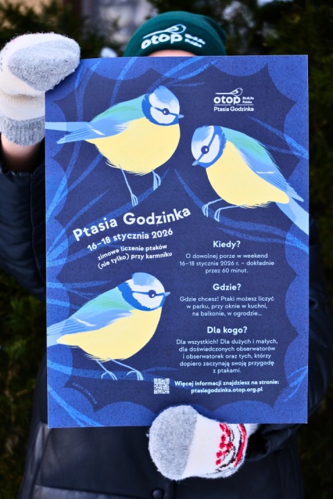 Plakat A3 - Ptasia Godzinka