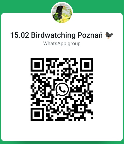 Poznań, Golęcin 15.02.26 r., 10:00 - 13:00, SPACER ORNITOLOGICZNY