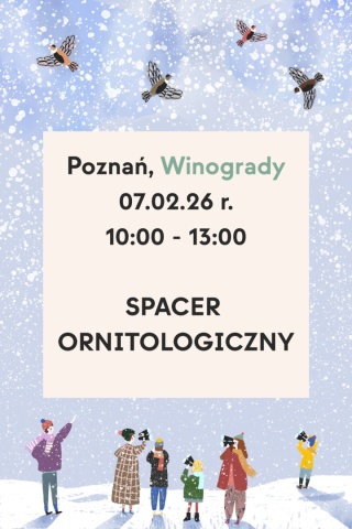 Poznań, Winogrady 07.02.26 r., 10:00 - 13:00, SPACER ORNITOLOGICZNY