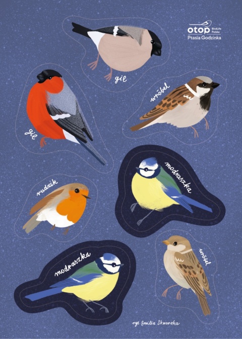 Zestaw naklejek - Ptasia Godzinka