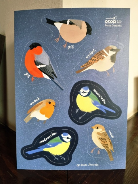 Zestaw naklejek - Ptasia Godzinka