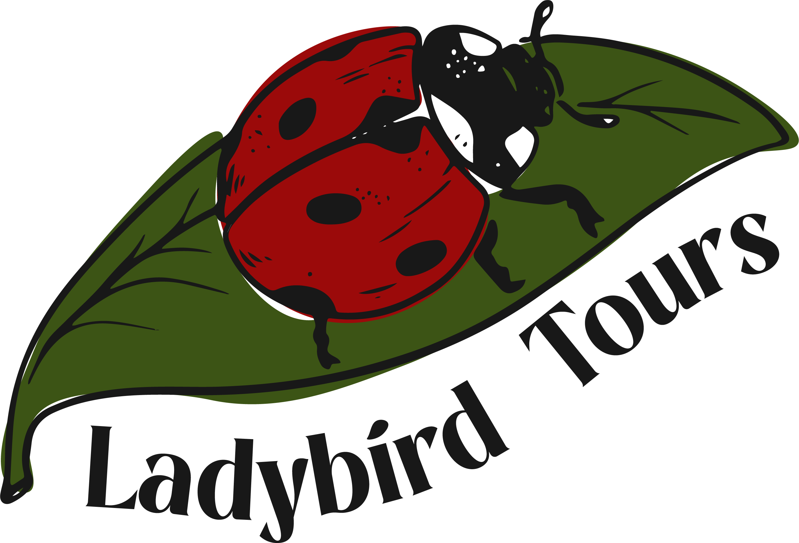 LB-Tours-Logo-Transparent.png
